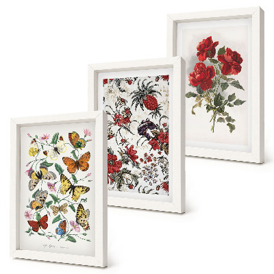 Lot de 3 tableaux Papillons, fleurs et roses rouges dans un style classique
