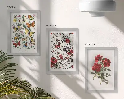 Lot de 3 tableaux représentant des papillons, des fleurs et des roses rouges dans un style classique
