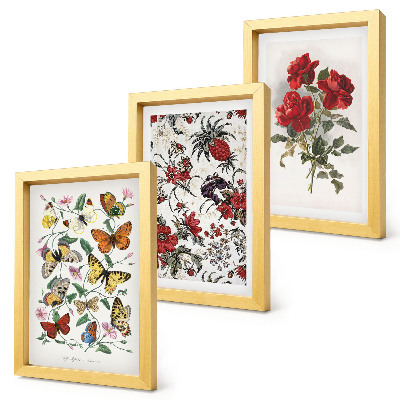 Lot de 3 tableaux Papillons, fleurs et roses rouges dans un style classique