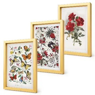 Lot de 3 tableaux représentant des papillons, des fleurs et des roses rouges dans un style classique