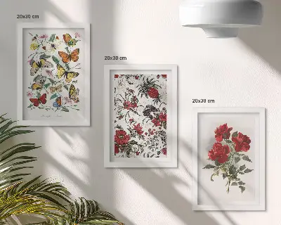 Lot de 3 tableaux représentant des papillons, des fleurs et des roses rouges dans un style classique