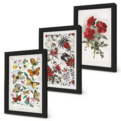 Lot de 3 tableaux Papillons, fleurs et roses rouges dans un style classique