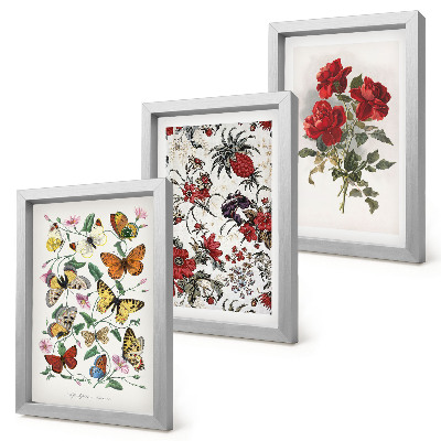 Lot de 3 tableaux Papillons, fleurs et roses rouges dans un style classique