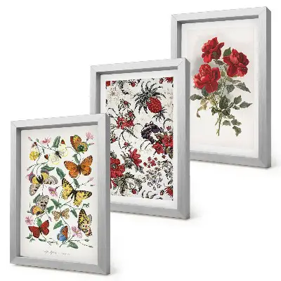 Lot de 3 tableaux représentant des papillons, des fleurs et des roses rouges dans un style classique