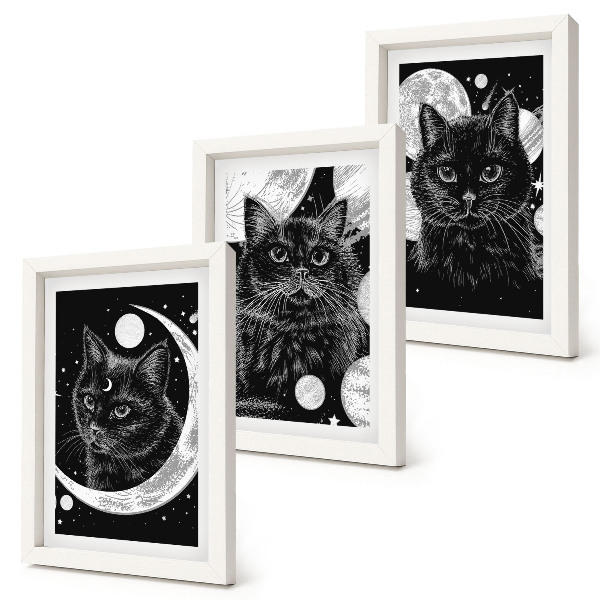 Mur de cadres Des chats noirs sur fond de lune et de planètes dans l'espace