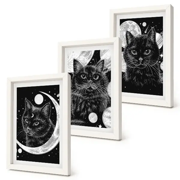 Mur de cadres représentant des chats noirs sur fond de lune et de planètes dans l'espace