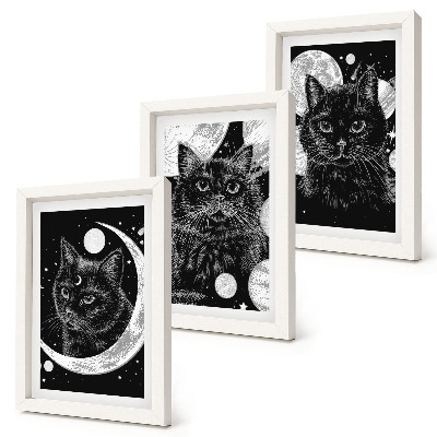 Mur de cadres Des chats noirs sur fond de lune et de planètes dans l'espace