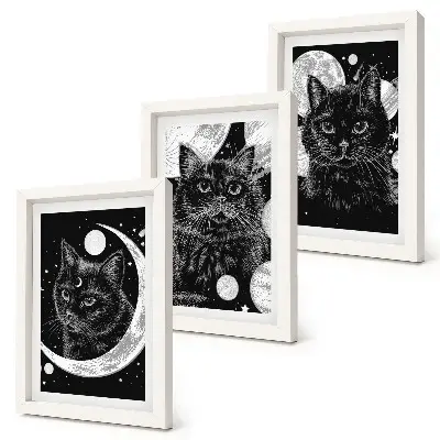 Mur de cadres représentant des chats noirs sur fond de lune et de planètes dans l'espace