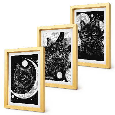 Mur de cadres Des chats noirs sur fond de lune et de planètes dans l'espace