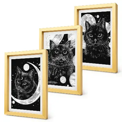 Mur de cadres représentant des chats noirs sur fond de lune et de planètes dans l'espace
