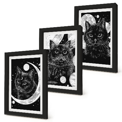 Mur de cadres Des chats noirs sur fond de lune et de planètes dans l'espace