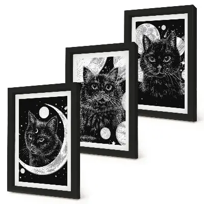 Mur de cadres représentant des chats noirs sur fond de lune et de planètes dans l'espace