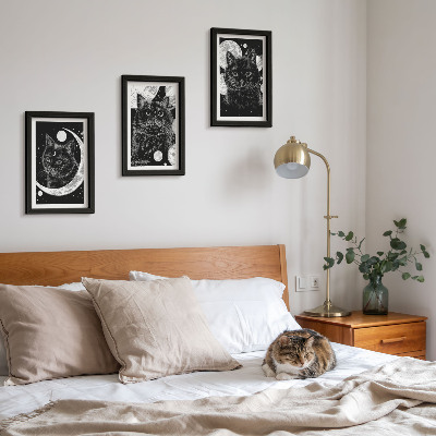 Mur de cadres Des chats noirs sur fond de lune et de planètes dans l'espace