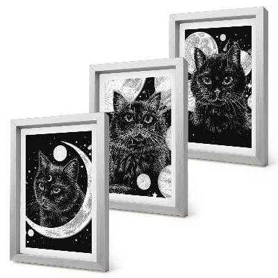 Mur de cadres Des chats noirs sur fond de lune et de planètes dans l'espace