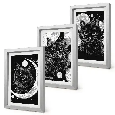 Mur de cadres représentant des chats noirs sur fond de lune et de planètes dans l'espace