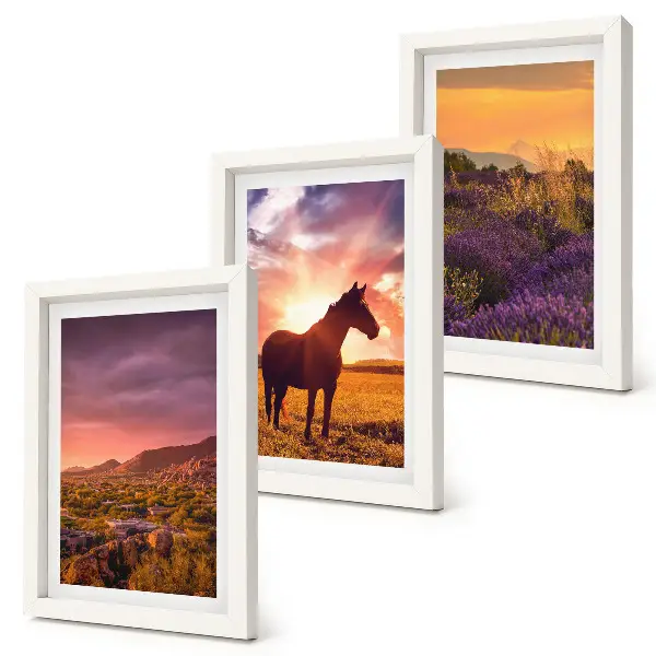 Mur de cadres paysages de montagne avec chevaux et champs de lavande