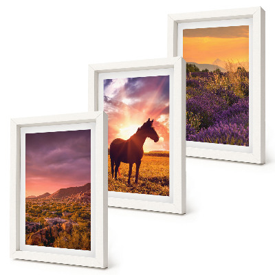 Mur de cadres Paysages de montagne avec des chevaux et des champs de lavande