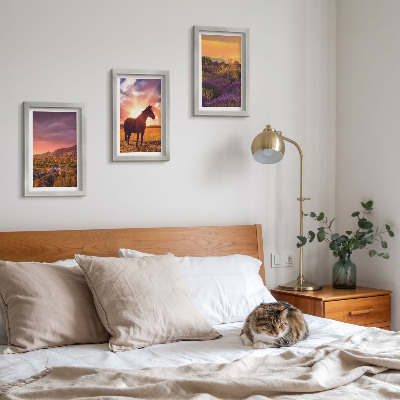 Mur de cadres Paysages de montagne avec des chevaux et des champs de lavande