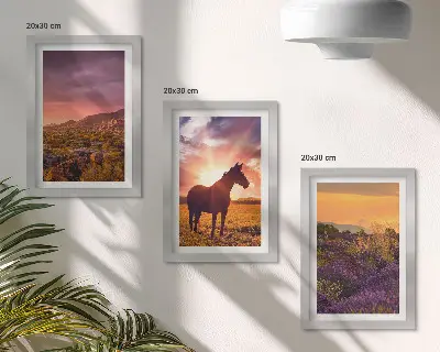 Mur de cadres paysages de montagne avec chevaux et champs de lavande