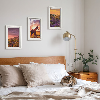Mur de cadres Paysages de montagne avec des chevaux et des champs de lavande