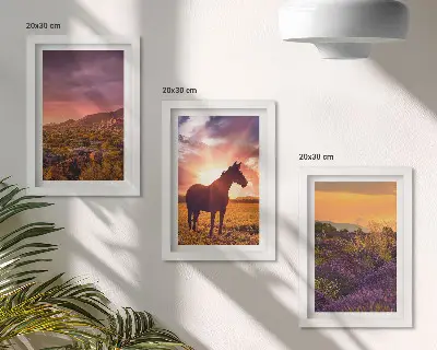 Mur de cadres paysages de montagne avec chevaux et champs de lavande