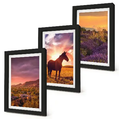 Mur de cadres paysages de montagne avec chevaux et champs de lavande
