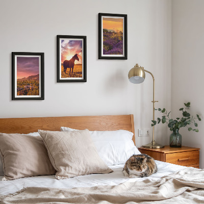 Mur de cadres Paysages de montagne avec des chevaux et des champs de lavande