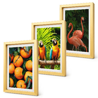 Ensemble de 3 tableaux Des accents fruités avec des perroquets et des flamants roses sous les tropiques