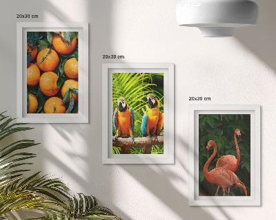 Ensemble de 3 tableaux Des accents fruités avec des perroquets et des flamants roses sous les tropiques