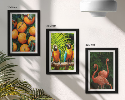 Ensemble de 3 tableaux Des accents fruités avec des perroquets et des flamants roses sous les tropiques