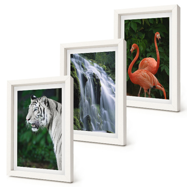 Mur de cadres Cascade du Tigre et flamants roses dans la nature