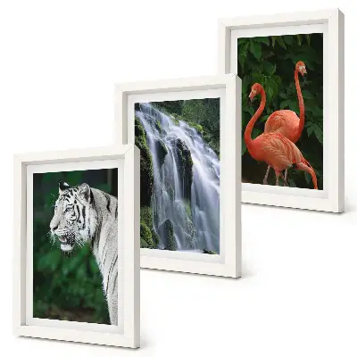 Mur de cadres représentant la cascade du Tigre et des flamants roses dans la nature