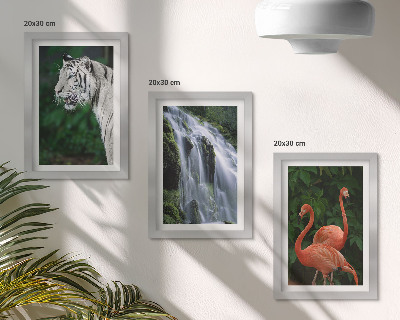 Mur de cadres Cascade du Tigre et flamants roses dans la nature