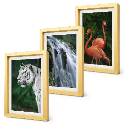 Mur de cadres représentant la cascade du Tigre et des flamants roses dans la nature