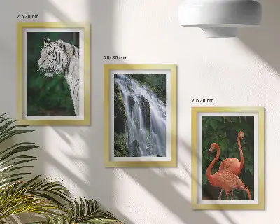 Mur de cadres représentant la cascade du Tigre et des flamants roses dans la nature