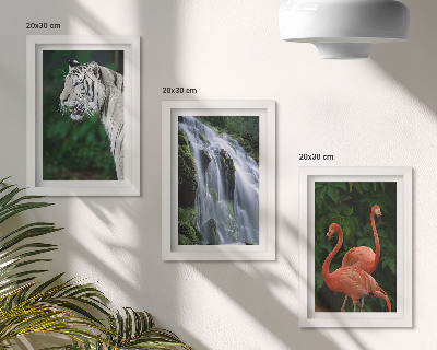 Mur de cadres Cascade du Tigre et flamants roses dans la nature