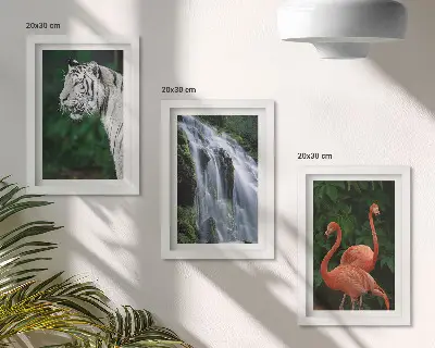 Mur de cadres représentant la cascade du Tigre et des flamants roses dans la nature