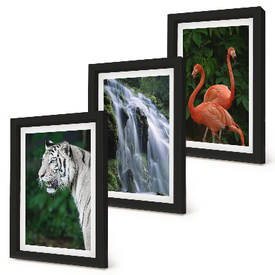 Mur de cadres Cascade du Tigre et flamants roses dans la nature
