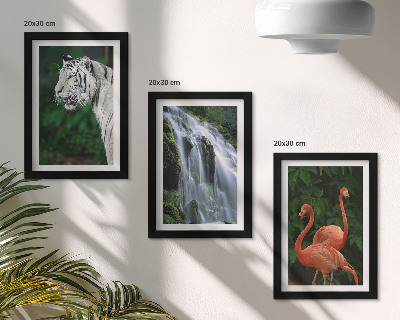 Mur de cadres Cascade du Tigre et flamants roses dans la nature