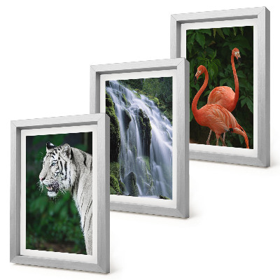 Mur de cadres Cascade du Tigre et flamants roses dans la nature