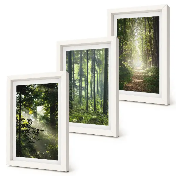 Ensemble de 3 tableaux représentant une forêt verdoyante avec des rayons de lumière et un chemin forestier