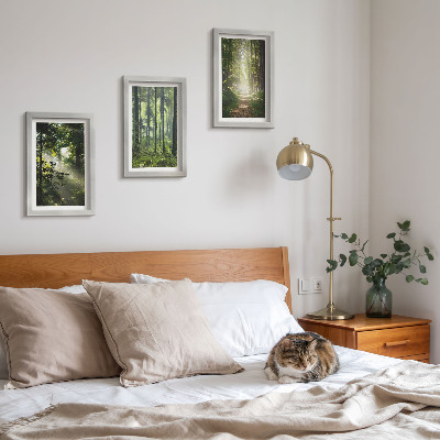 Ensemble de 3 tableaux Forêts verdoyantes avec des rayons de lumière et un chemin forestier