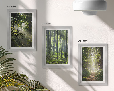 Ensemble de 3 tableaux Forêts verdoyantes avec des rayons de lumière et un chemin forestier