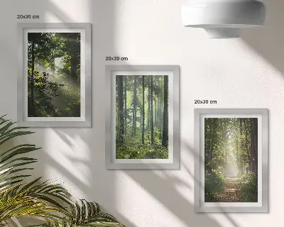 Ensemble de 3 tableaux représentant une forêt verdoyante avec des rayons de lumière et un chemin forestier