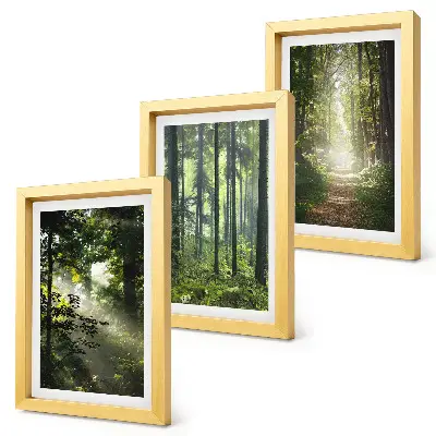 Ensemble de 3 tableaux représentant une forêt verdoyante avec des rayons de lumière et un chemin forestier