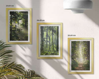 Ensemble de 3 tableaux Forêts verdoyantes avec des rayons de lumière et un chemin forestier