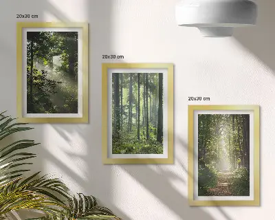 Ensemble de 3 tableaux représentant une forêt verdoyante avec des rayons de lumière et un chemin forestier