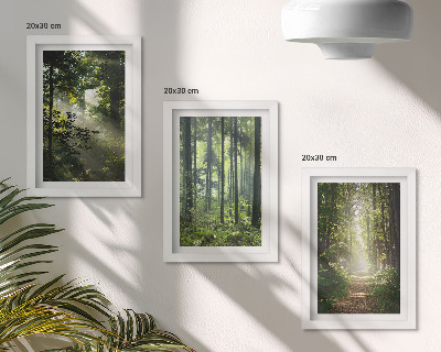 Ensemble de 3 tableaux Forêts verdoyantes avec des rayons de lumière et un chemin forestier