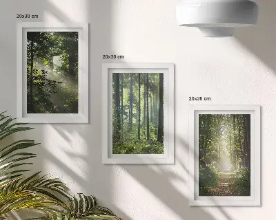 Ensemble de 3 tableaux représentant une forêt verdoyante avec des rayons de lumière et un chemin forestier