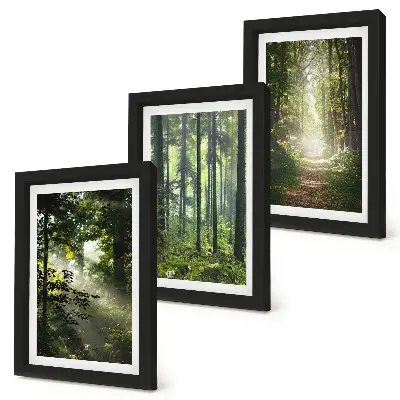 Ensemble de 3 tableaux représentant une forêt verdoyante avec des rayons de lumière et un chemin forestier